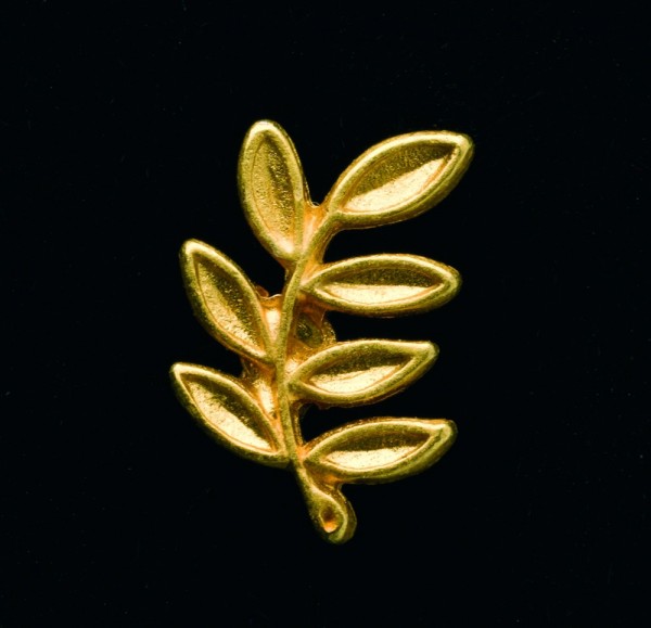 Pin Acacia